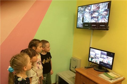 Уроки ОБЖ для дошколят