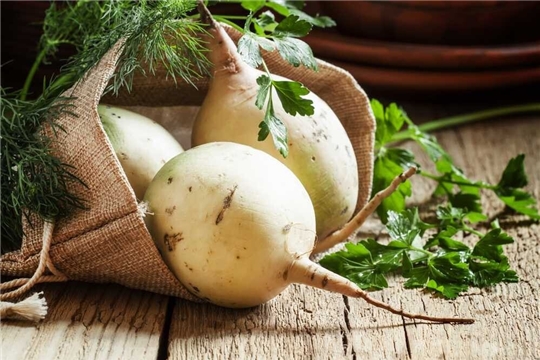 Корнеплод из детской сказки или чем полезна репка.