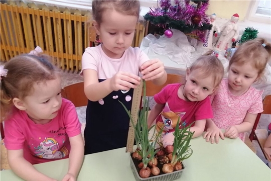 Огород на подоконнике в зимний период