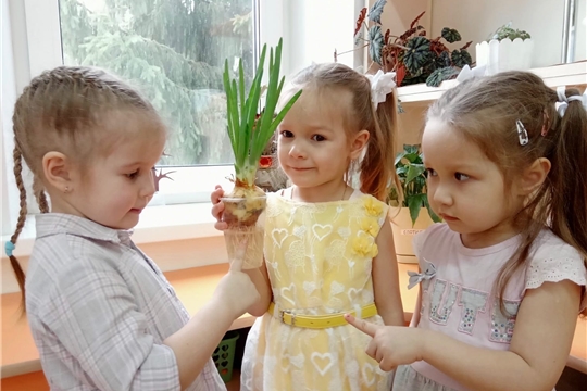 Полезный зеленый лук