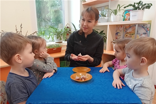 День чеснока 