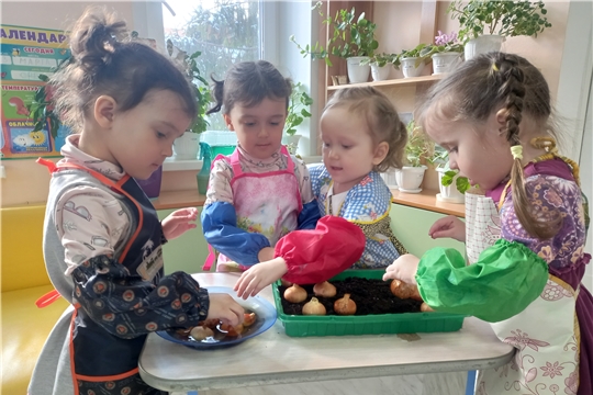 Мини - огород на подоконнике.