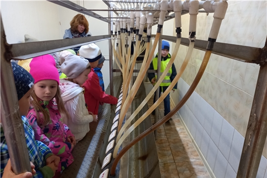 Экскурсия на очистные сооружения водоканала. 