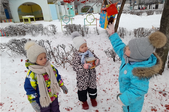 Покормите птиц зимой!