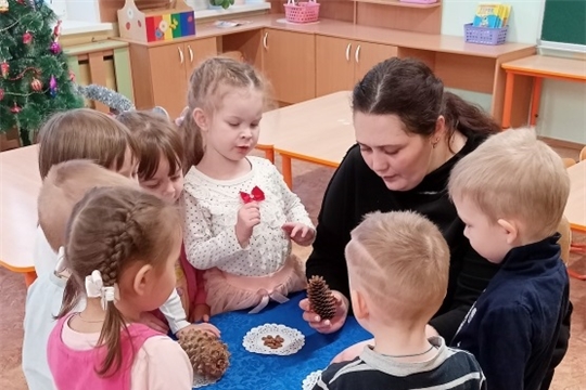 Тайна кедровой шишки