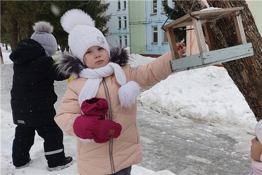 Зимующие птицы
