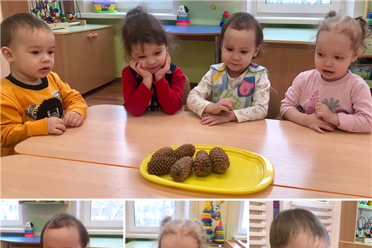 Массаж шишками
