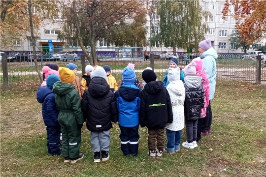 Безопасная прогулка  в детском саду
