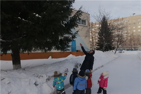 Целевая прогулка "В гости к ёлочке" 