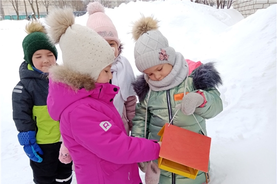 Помогаем зимующим птицам