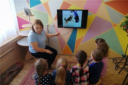 Такой ласковый бездомный пёс (опасность бродячих животных)