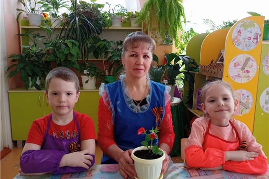 В детском саду "Светлячок" стартовала акция "Цветок ветерану"