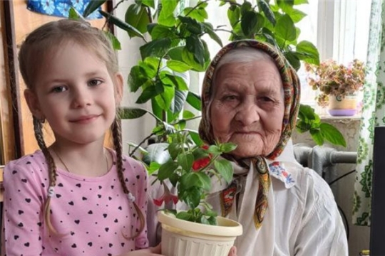Акция "Цветок ветерану" 