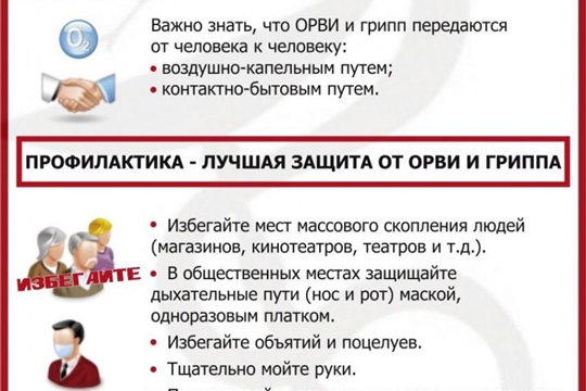 Профилактика гриппа и ОРВИ