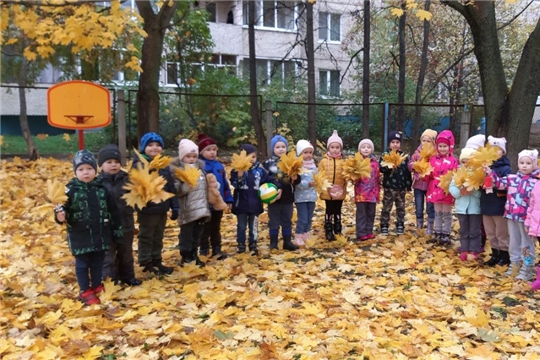 Целевая прогулка "осень на участке детского сада"