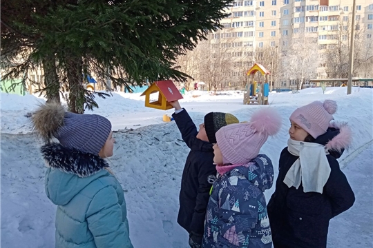 Реализуем муниципальный проект "По родному краю с рюкзаком шагаю": наблюдение за жизнью птиц