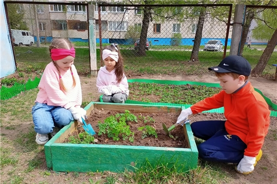 Эколята – молодые защитники природы