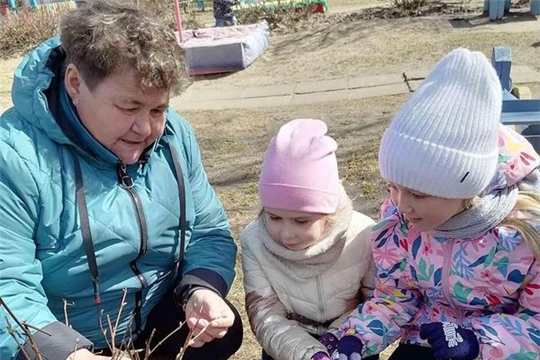 Наблюдение за природой