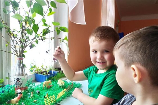 Любовь к природе