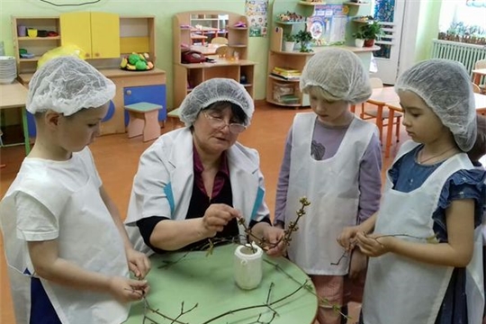 Наблюдение за растениями