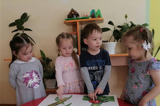 Наблюдение за майским жуком