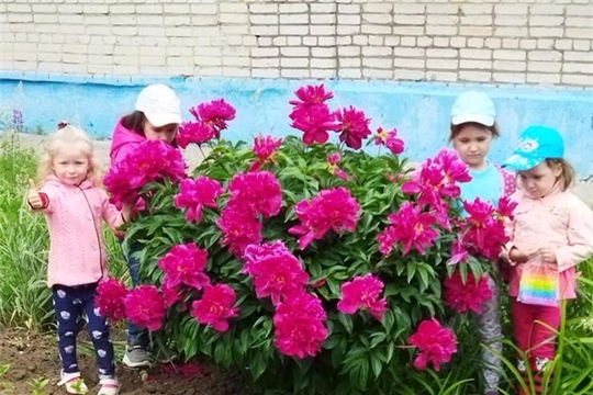 Знакомство с цветочками