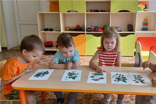 Знакомство с лесными ягодами