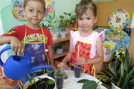 Ребята ухаживают за цветочками