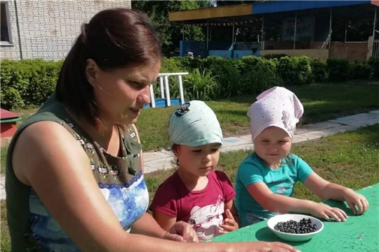 Полезные ягоды