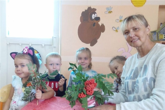 Полезные свойства красной рябины