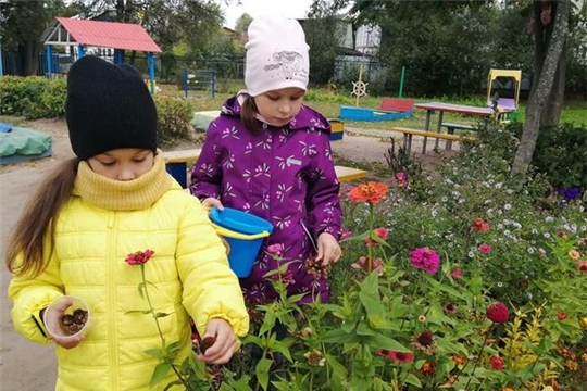 Наступила осень