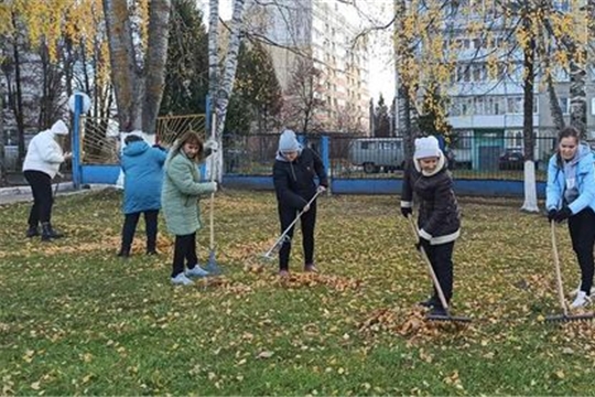 Участие в улучшении санитарного состояния территории детского сада