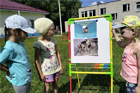 Осторожно, бездомные животные(1)