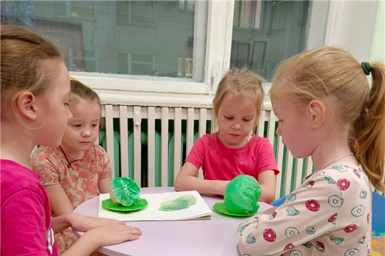 Польза капусты
