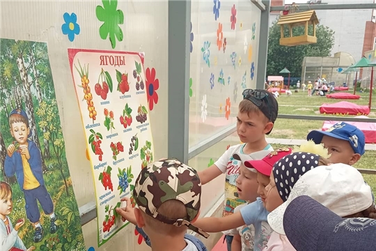 Лето! Время собирать ягоды!