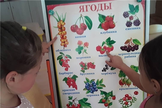Летние ягоды.