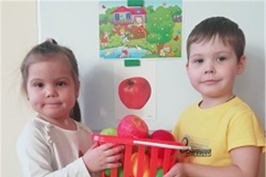 Яблоки, яблоки, яблочки!