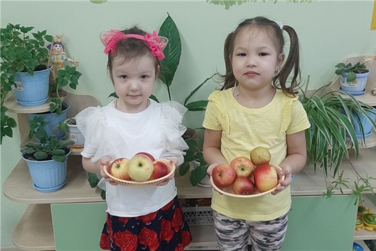 Яблоки в рационе питания дошкольников.