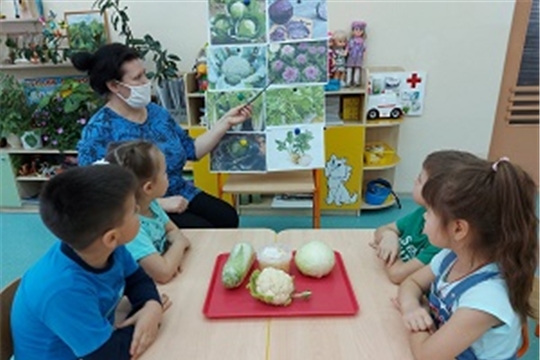 Полезная капуста
