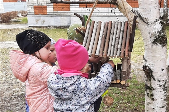 Всероссийский День Эколят
