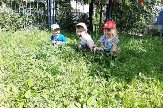 Тайны высокой травы.