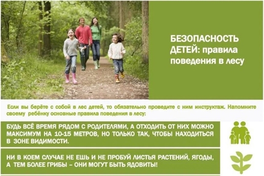 Безопасность детей. Правила поведения в лесу.