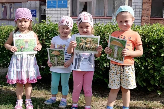 Осторожно, ядовитые грибы