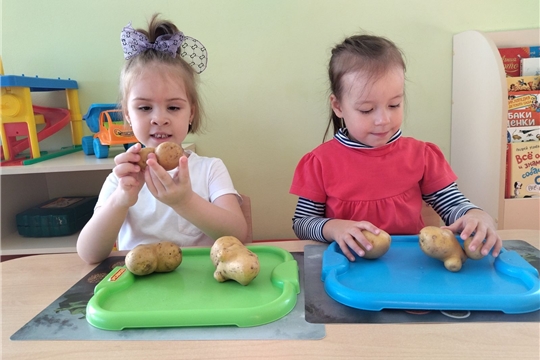 Польза овощей и фруктов