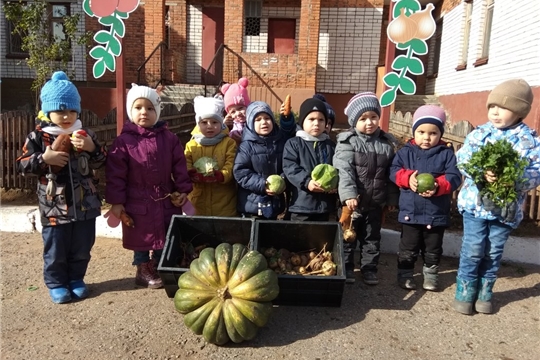 Дары осени
