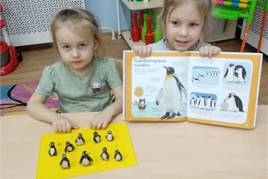 Пингвины – обаятельные птицы
