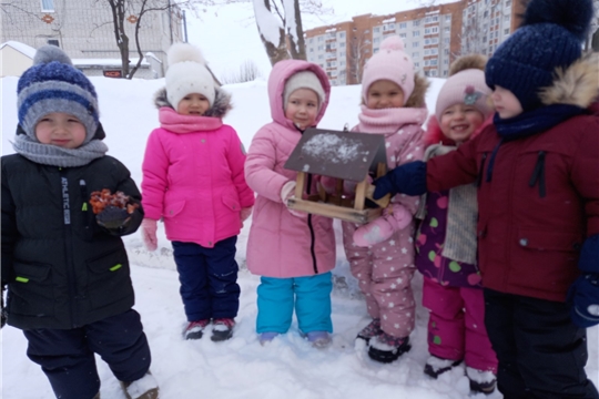Вешаем кормушки для птиц