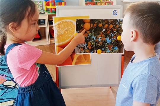 Удивительные свойства лимона