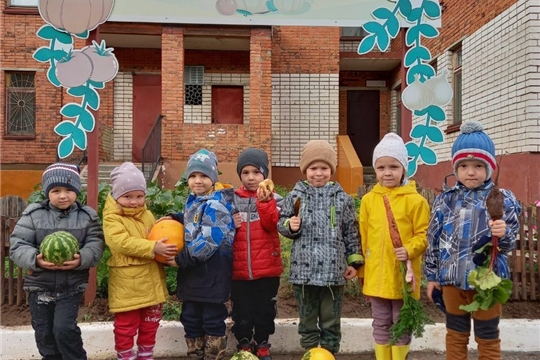 Щедрый урожай