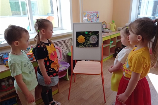Мать-и-мачехи цветки